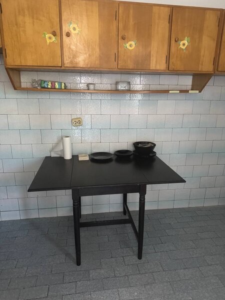 Cismigiu, vizavi parc, ultracentral, 20 locuri pt. muncitori Asia,